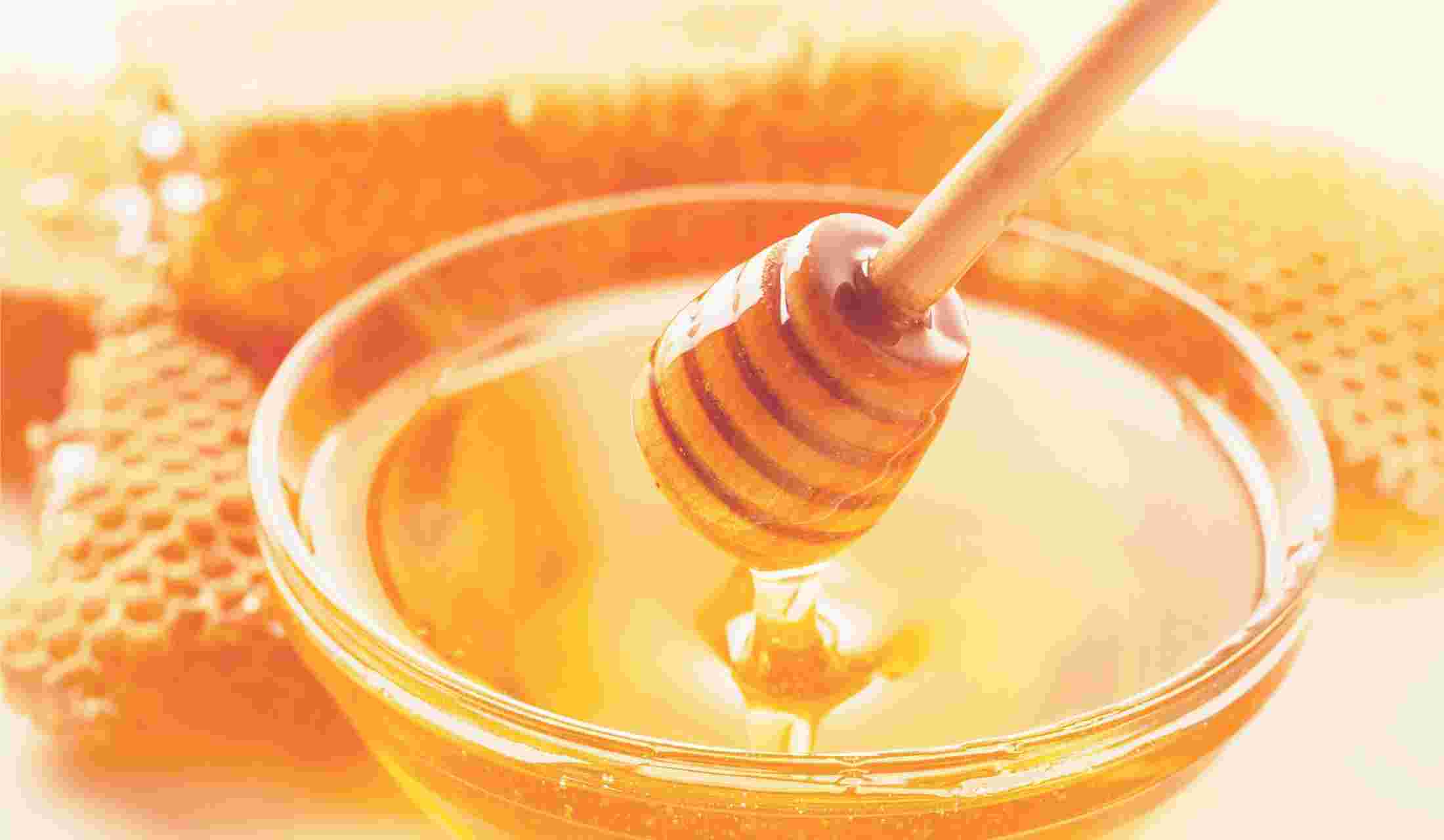 はちみつと蜂の巣