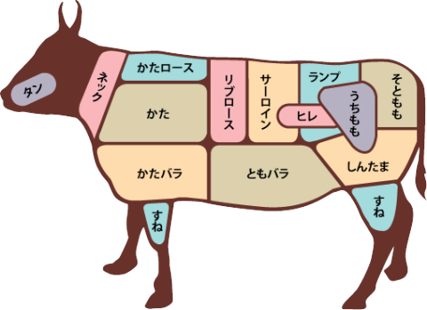 肉の部位の説明