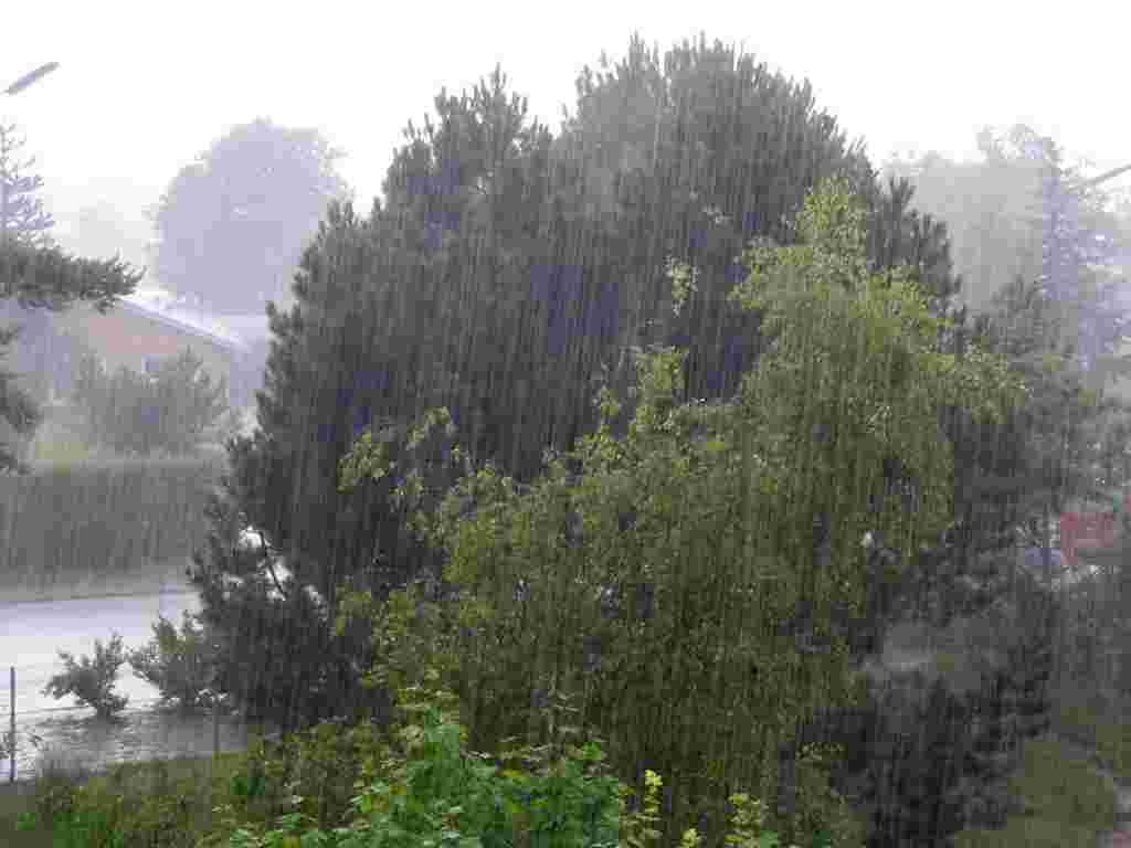 しとしと降る春の雨