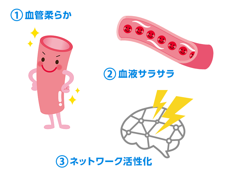 DHAが血液をサラサラにして脳を活性化するという図