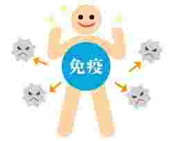 免疫力アップしてウイルスから体を守るイラスト