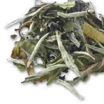 ふわふわな産毛をまとったホワイトティーの茶葉