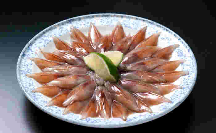 富山湾の春の恵みでもあるホタルイカ