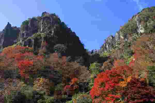 大分県中津市の風景