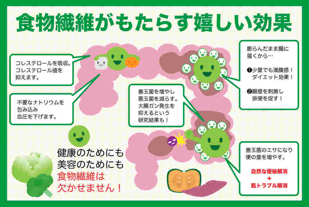 食物繊維の腸内での効果