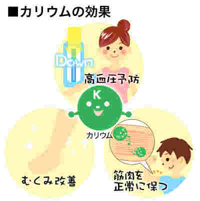 カリウムの働き
