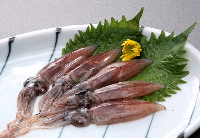 皿にのった獲れたてのホタルイカ