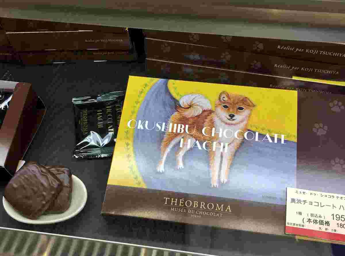 奥渋チョコレート ハチ