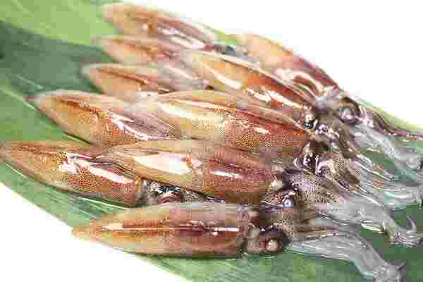 透明でとても新鮮なホタルイカ