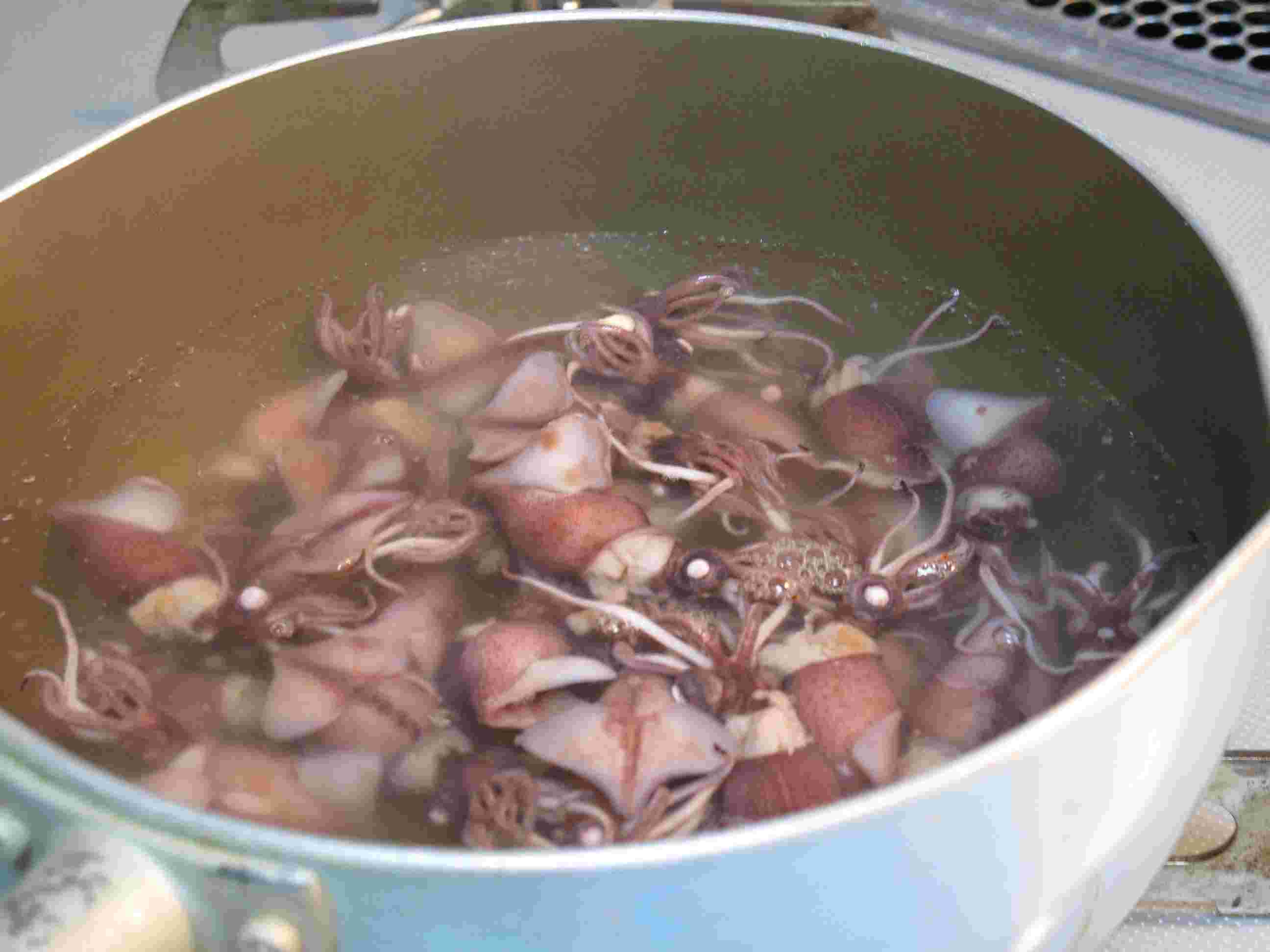 大きな鍋で茹でられたホタルイカ