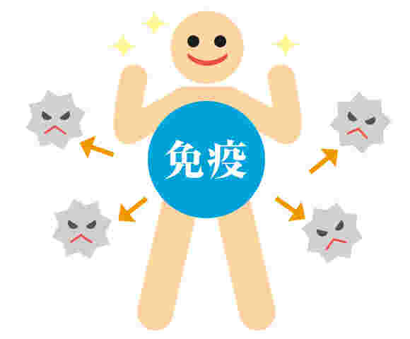 免疫力でウイルスから体を守っているイラスト