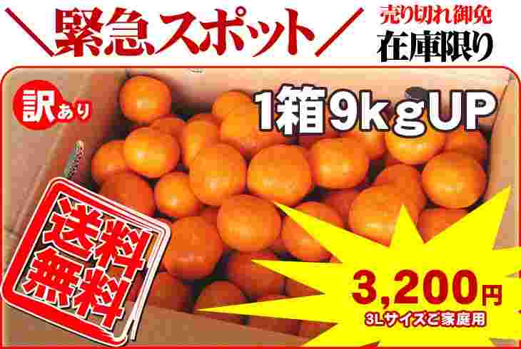 さんきんの一箱9キロ3200円のお買い得みかんの広告の写真