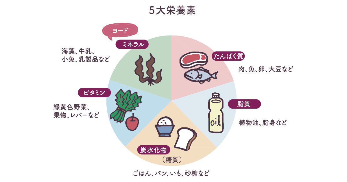 5大栄養素の中のヨード　イラスト