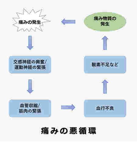 痛みと血行不良の関係