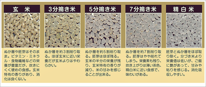 米の種類