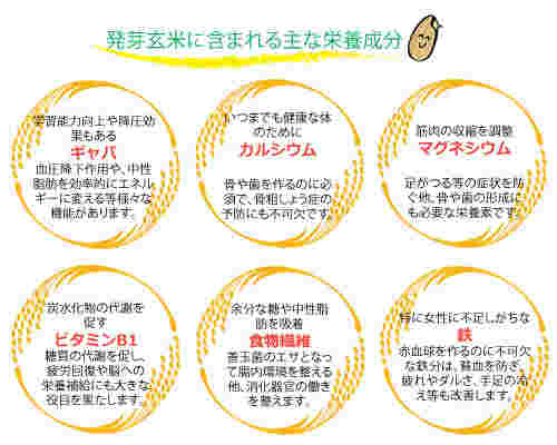 発芽玄米に含まれている主な栄養素の紹介画像