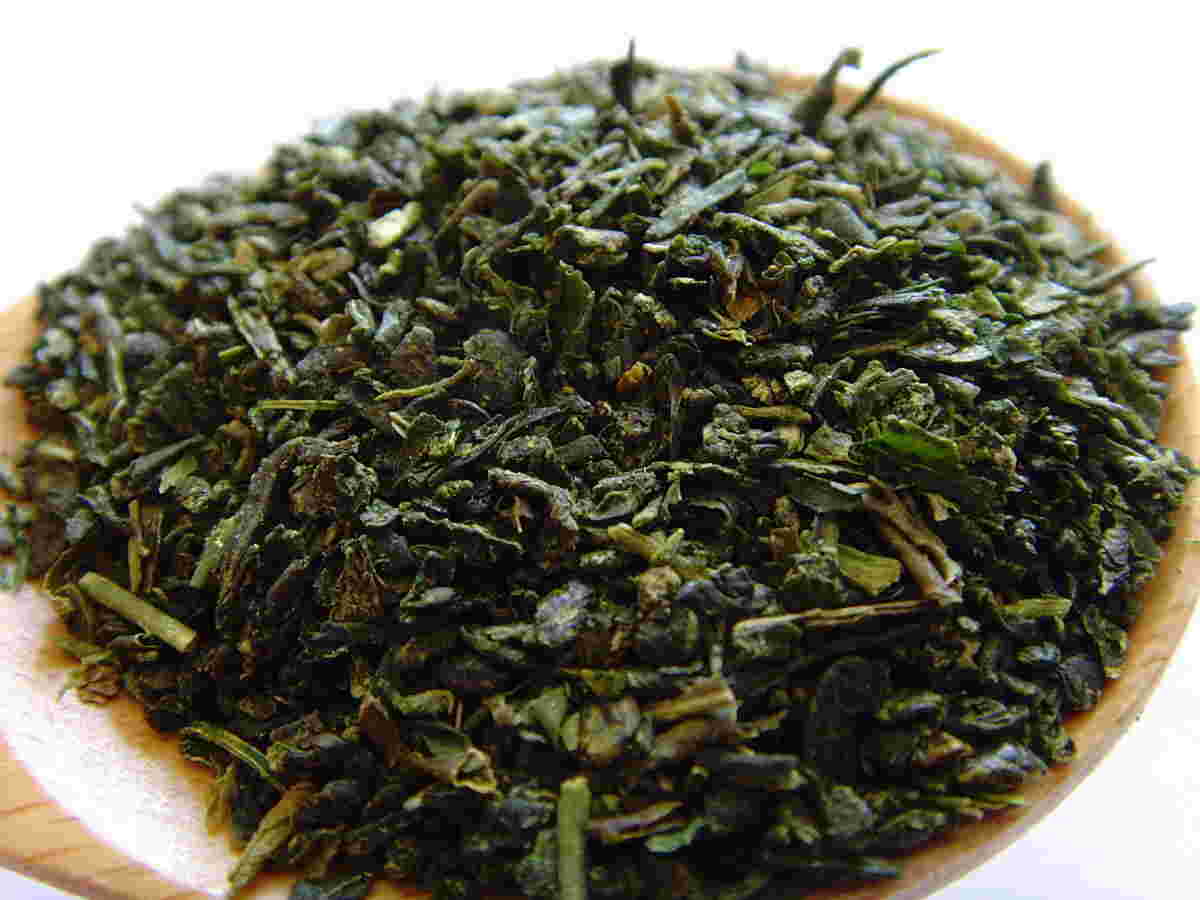 芽茶の茶葉