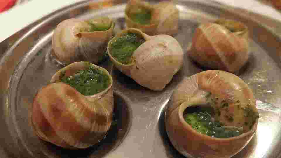 フランス料理の定番エスカルゴ料理