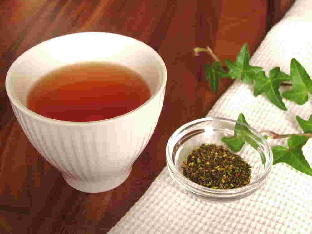 ギムネマ茶と茶葉