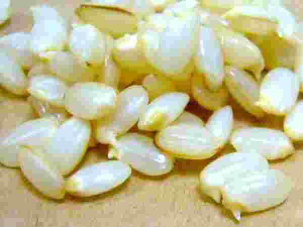 発芽玄米をたく前の米粒