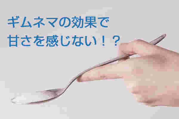 スプーンにのった砂糖