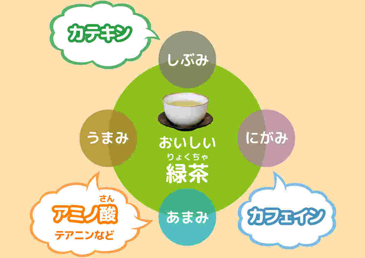 美味しいお茶の構図
