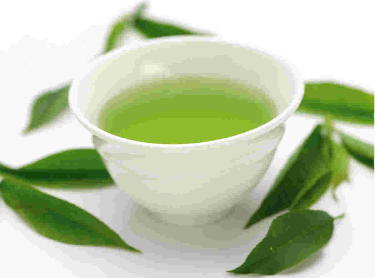 栄養満点の濃い味や色を実現する粉末茶