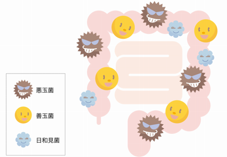 腸内環境イメージ