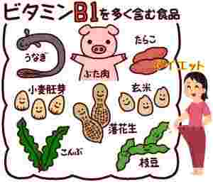 ビタミンB1の多い食材