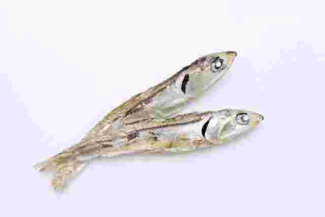 煮干し2匹