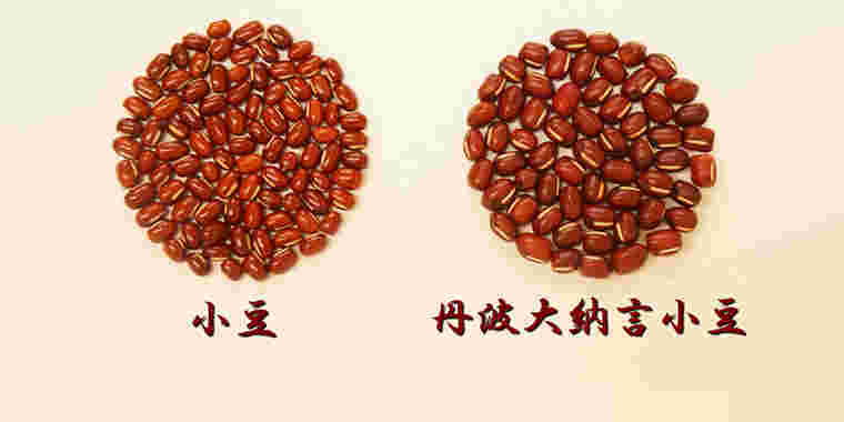 小豆と大納言小豆