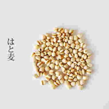 はとむぎ
