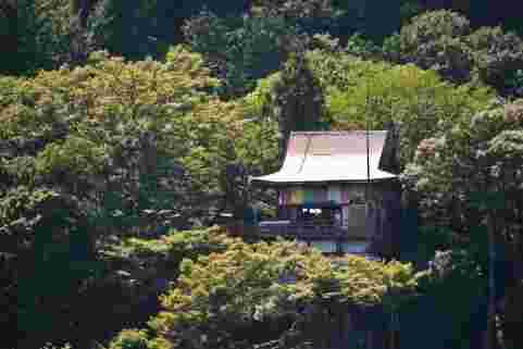 森のなかの木造建築