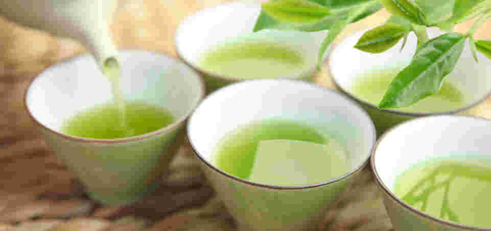 埼玉の狭山茶