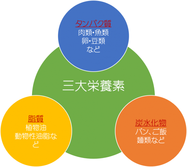 三大栄養素の説明画像
