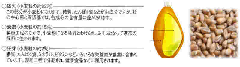 小麦の栄養成分