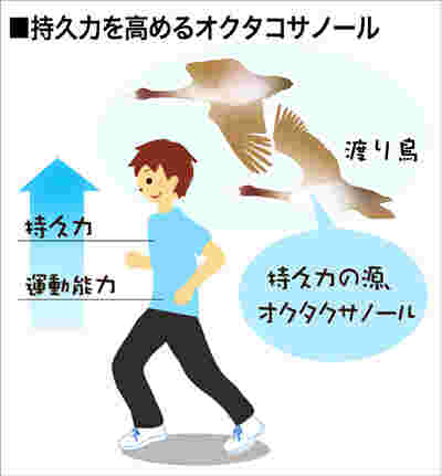 オクタコサノールの効果