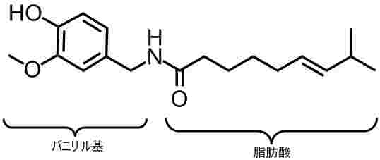 カプサイシンの構造式