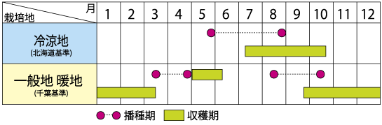 種まき時期の表