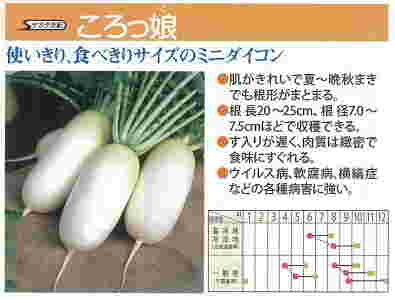 ころっ娘の特徴