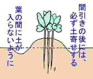土寄せの方法
