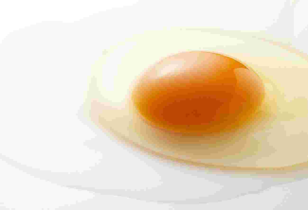 生卵