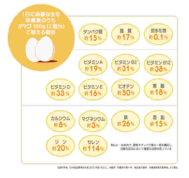 卵の栄養素