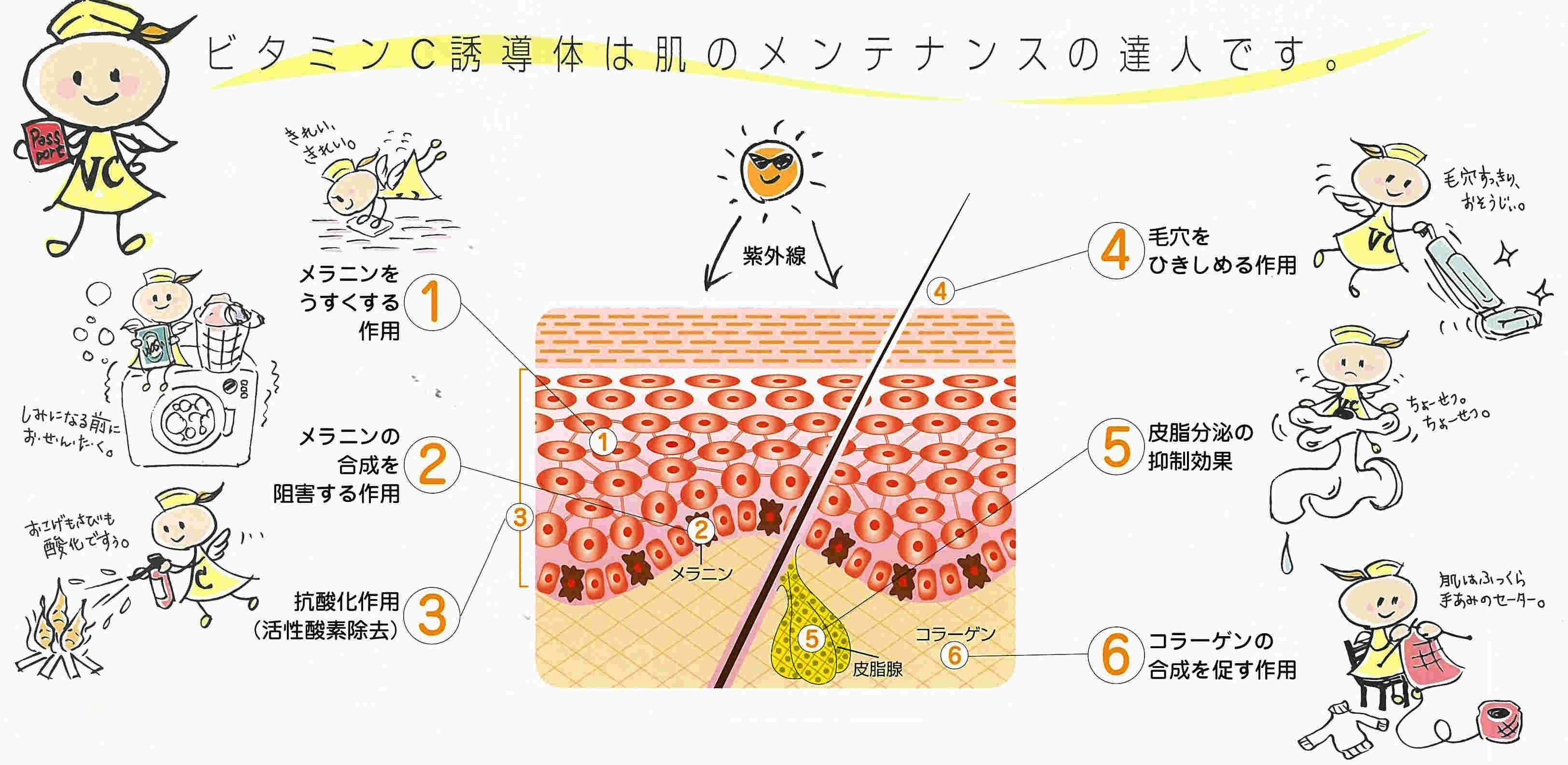 ビタミンCの効果