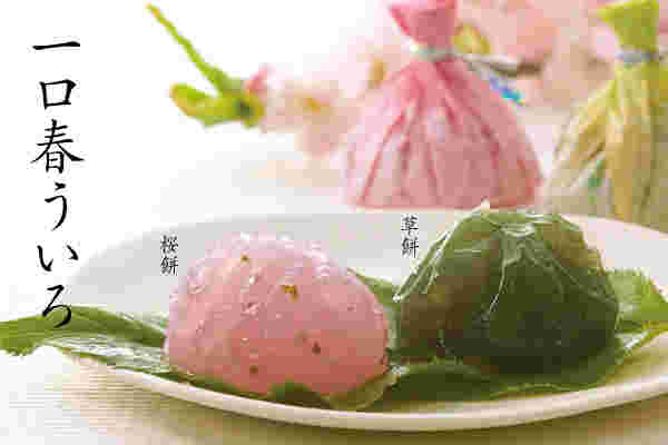 餅文総本店の「一口ういろう」