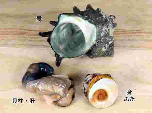 サザエの殻とフタに付いた貝柱、肝