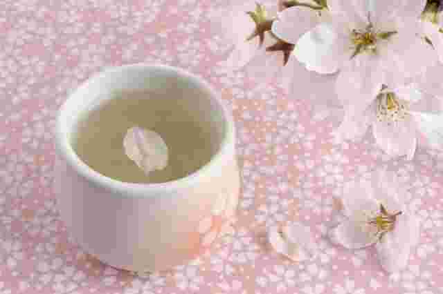 桜の花びらが浮かんだお茶