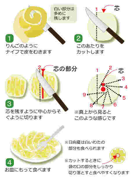 ニューサマーオレンジの垂直方向の切り方