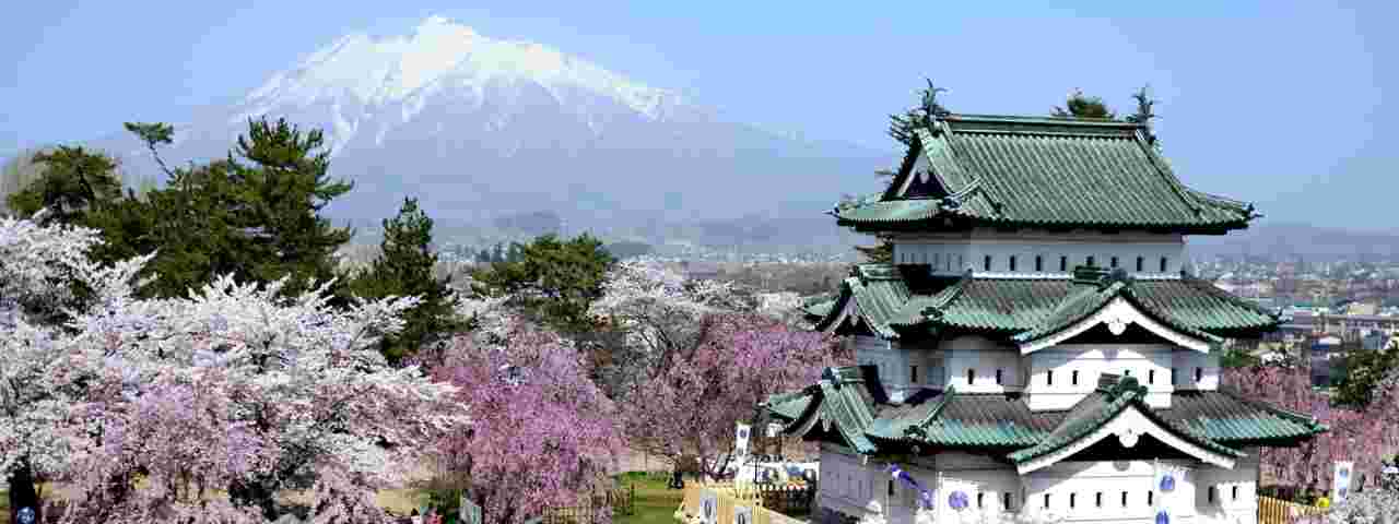 弘前城と桜の景色