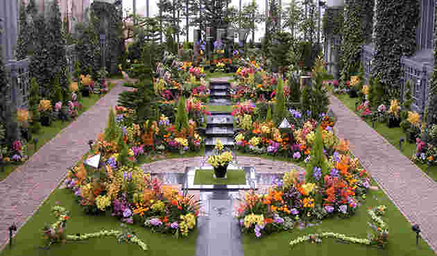 奇跡の星の植物館